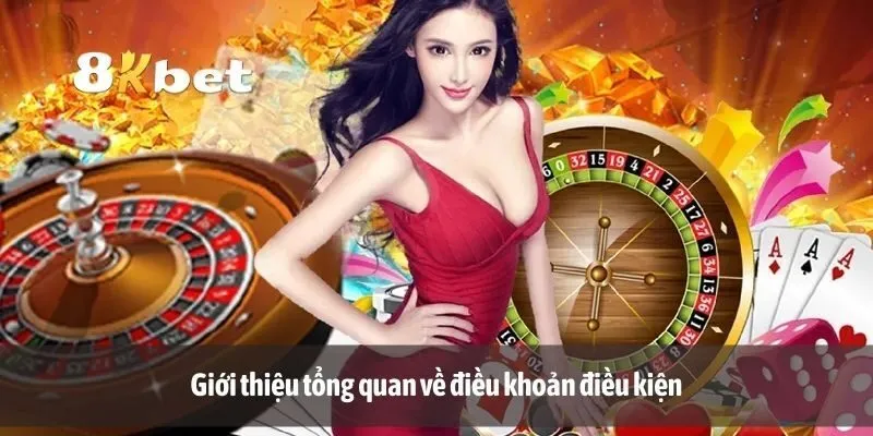 Giới thiệu tổng quan về điều khoản điều kiện