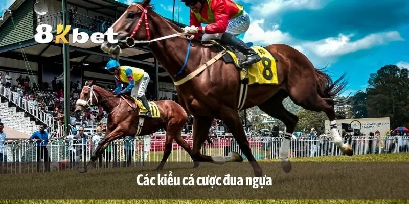 Các kiểu cá cược đua ngựa