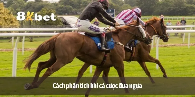 Cách phân tích khi cá cược đua ngựa