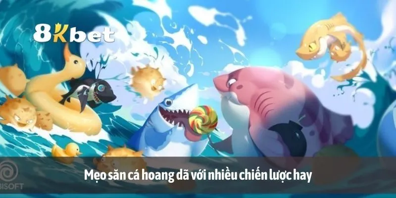 Mẹo săn cá hoang dã với nhiều chiến lược hay