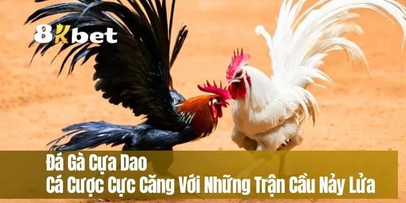 Đá Gà Cựa Dao – Cá Cược Cực Căng Với Những Trận Cầu Nảy Lửa