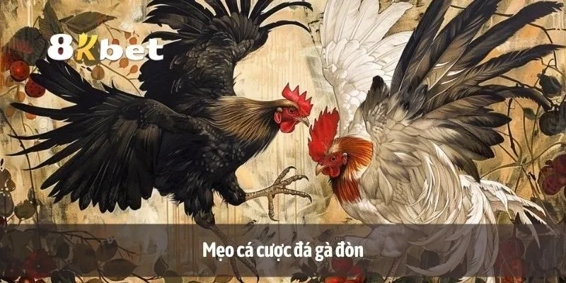 Mẹo cá cược đá gà đòn