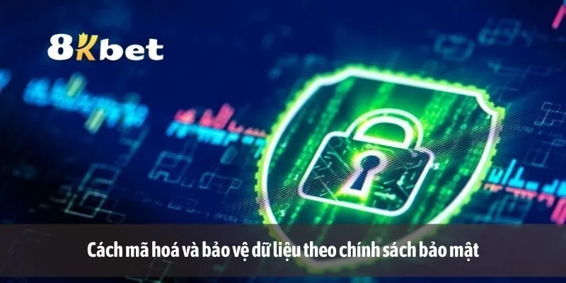 Cách mã hoá và bảo vệ dữ liệu theo chính sách bảo mật